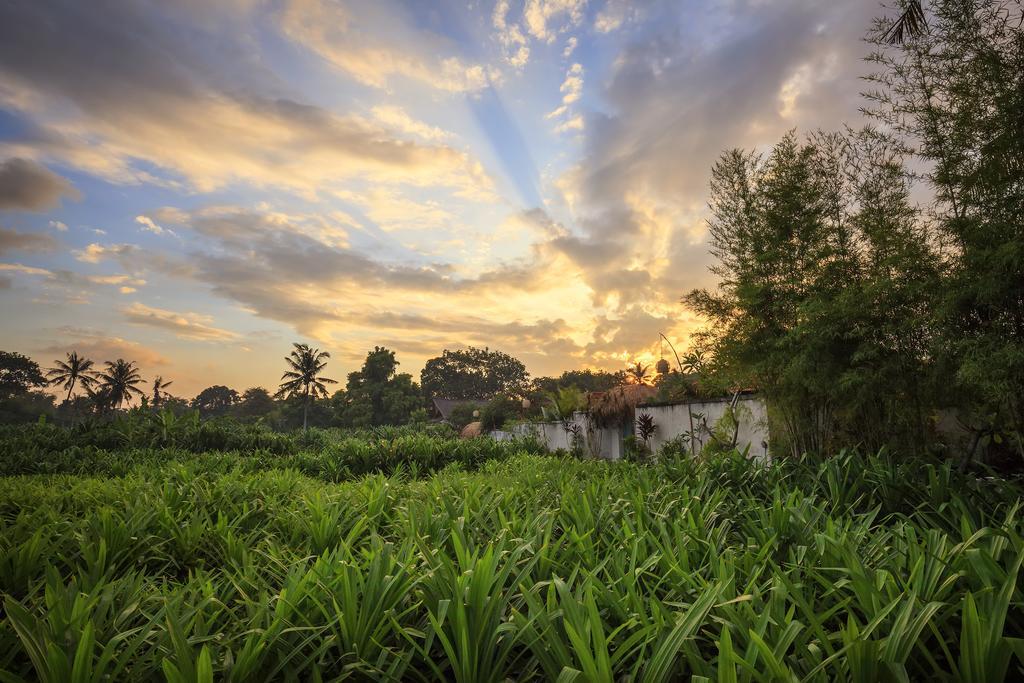 The Pandan Tree Villas Canggu Zewnętrze zdjęcie