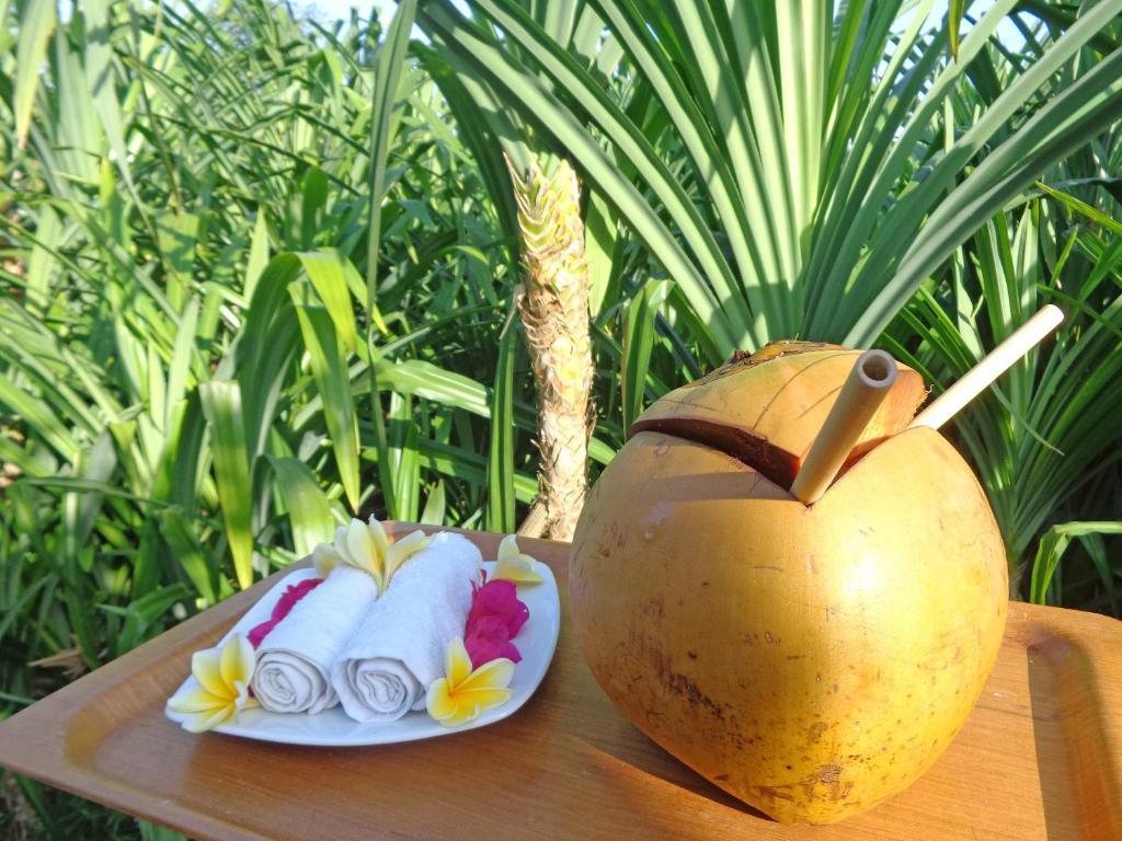 The Pandan Tree Villas Canggu Zewnętrze zdjęcie